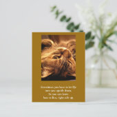 カー感動的ド：ライフを上下に ポストカード (スタンド正面)