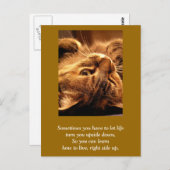 カー感動的ド：ライフを上下に ポストカード (正面/裏面)