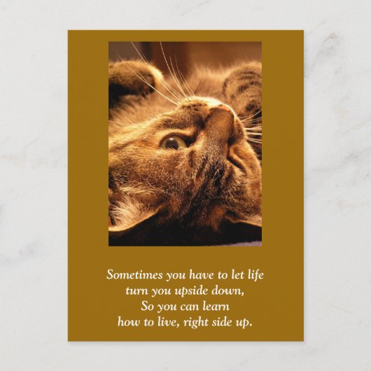 カー感動的ド：ライフを上下に ポストカード (正面)