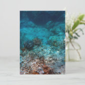カー最高のド5" x 7" シーズンカード (スタンド正面)