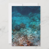 カー最高のド5" x 7" シーズンカード (裏面)