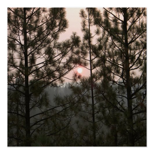 カー火災2018からのスモークサンライズ… ポスター (正面)