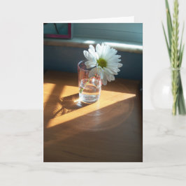 カー独身のドの日当たりの良い場所にある白い空白のデイジー カード