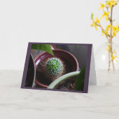 カー空白のド カード (黄色い花)