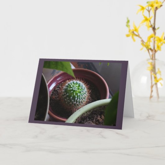 カー空白のド カード (黄色い花)