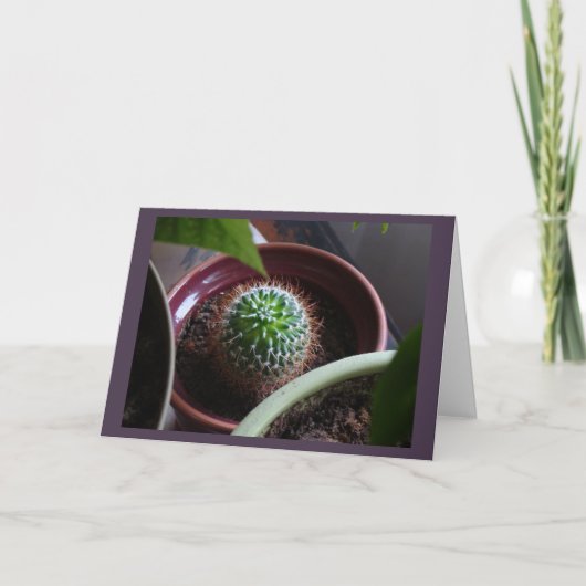 カー空白のド カード (正面)