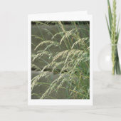 カー空白のド カード (正面)