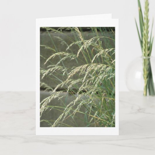 カー空白のド カード (正面)