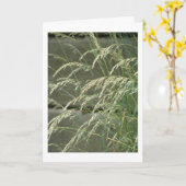 カー空白のド カード (黄色い花)