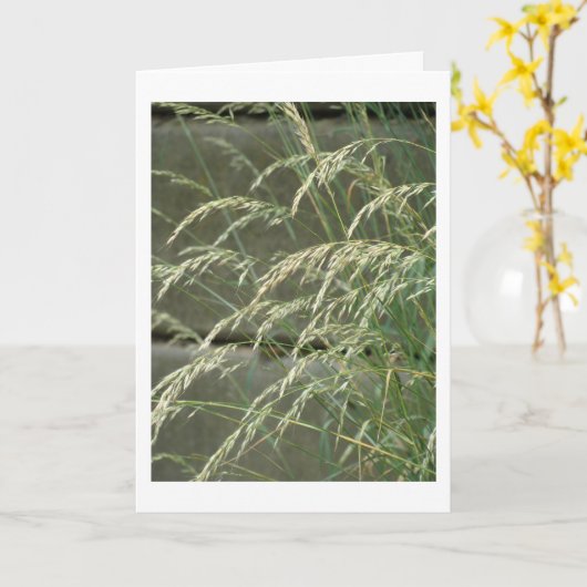 カー空白のド カード (黄色い花)