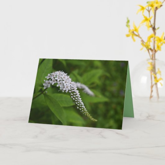 カー空白のド – 美しい白いグースネックの花 カード (黄色い花)