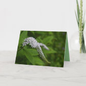 カー空白のド – 美しい白いグースネックの花 カード (正面)