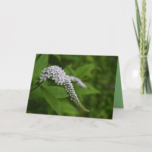 カー空白のド – 美しい白いグースネックの花 カード (正面)