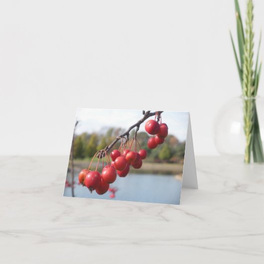 カー空白のド – 赤い果実 カード (正面)