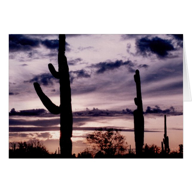 カー空白のド – Saguaro at Sunset (正面横)