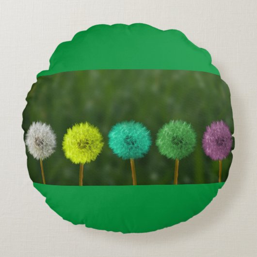 カ数々のラーラウンド装飾用クッション ラウンドクッション (正面)