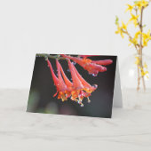 カ空白のード – 朝露 カード (黄色い花)