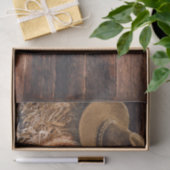 カ素朴ウボーイハットロープ干し草写真 薄葉紙 (ギフト)