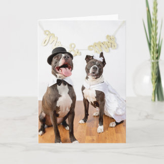 カ結婚ード カード