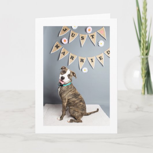 カ結婚ード カード (正面)