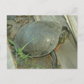 カ絵を描メ ポストカード (正面)