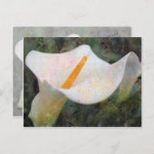 カ絵を描ラリリー横葉書 ポストカード (正面/裏面)