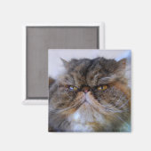 カ誇りを持ったリコのペルシャ猫マグネット マグネット (正面/裏面)
