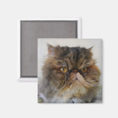 カ誇りを持ったリコのペルシャ猫マグネット マグネット (正面/裏面)