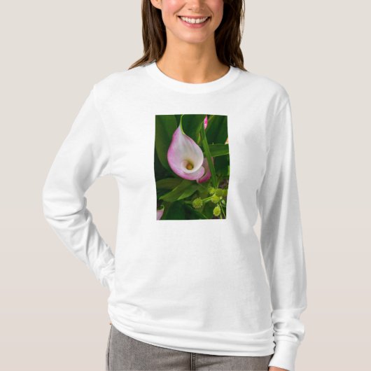 カ転がラ長袖Tシャツ Tシャツ (正面)
