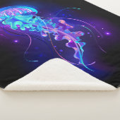 カ鮮やかラ白熱［赤熱］光を放つゲリ シェルパブランケット (3/4)