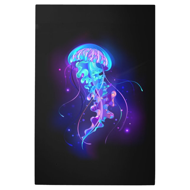 カ鮮やかラ白熱［赤熱］光を放つゲリ メタルプリント (正面)