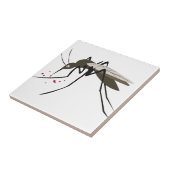 カ タイル (側面)