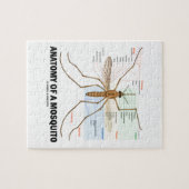 カ(昆虫学)の解剖学 ジグソーパズル (横)