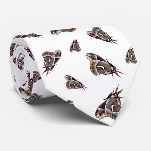 ガの蝶虫 ネクタイ (ロール)