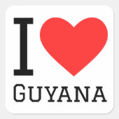 ガイアナが大好き スクエアシール (正面)