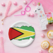 ガイアナの旗 ペーパープレート (パーティー)