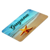 ガイアナヒトデ マグネット (左側)