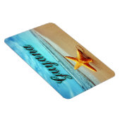 ガイアナヒトデ マグネット (右側)