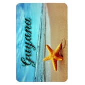 ガイアナヒトデ マグネット (縦)