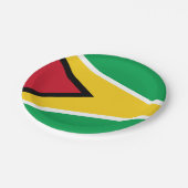 ガイアナ国旗プレート、パーティー、スポーツ、ガイアナ ペーパープレート (アングル)