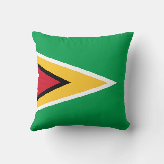 ガイアナ国旗 クッション (裏面)