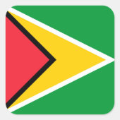 ガイアナ国旗 スクエアシール (正面)