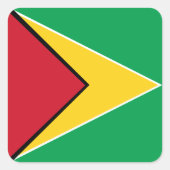 ガイアナ国旗 スクエアシール (正面)