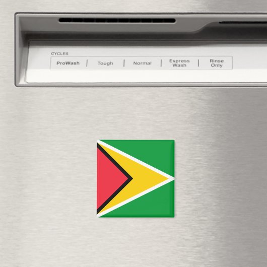 ガイアナ国旗 マグネット (インサイチュ (食洗機))