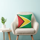 ガイアナ国旗x旗まくら クッション (椅子)