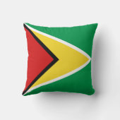 ガイアナ国旗x旗まくら クッション (裏面)