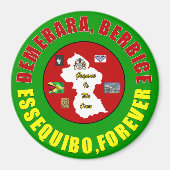 ガイアナ磁石1個 マグネット (正面)