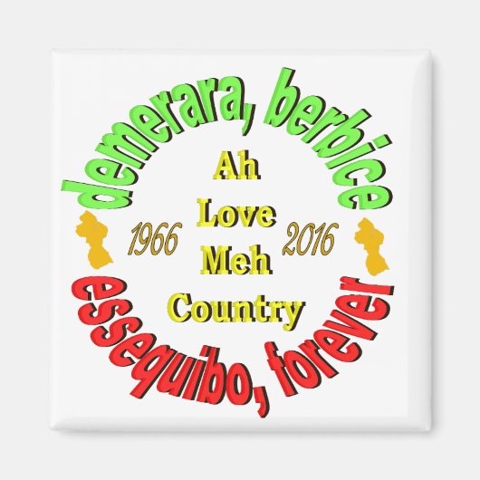 ガイアナ3郡3"ラウンドマグネット マグネット (正面)