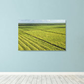 ガイアナ，サトウキビ農園 キャンバスプリント (インサイチュ (ウッドフロア))