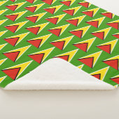 ガイアナ シェルパブランケット (3/4)